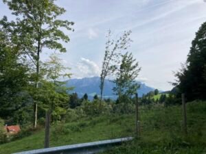 19526F90-4D29-42DD-BD8A-E17C03DC2C17_1_105_c