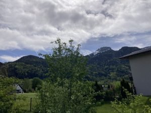 IMG_2325