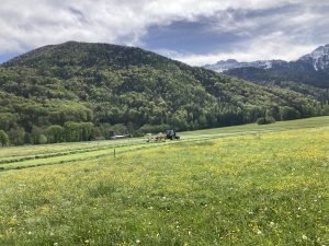 IMG_2328