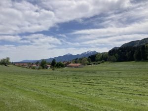 IMG_2332