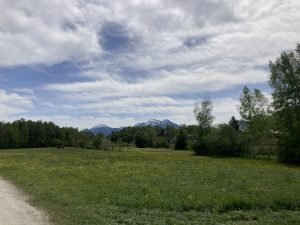 IMG_2337