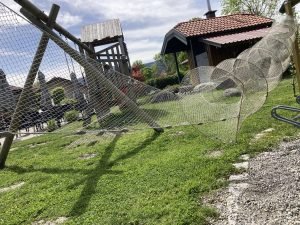 IMG_2341