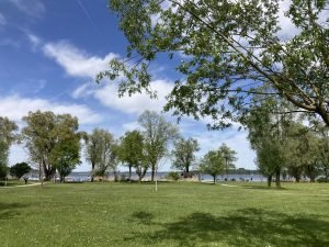 IMG_2357