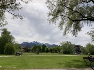 IMG_2361