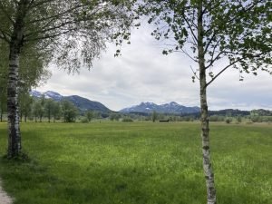 IMG_2364