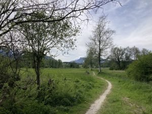 IMG_2365