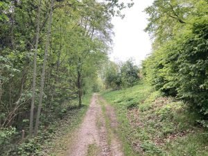 IMG_2371