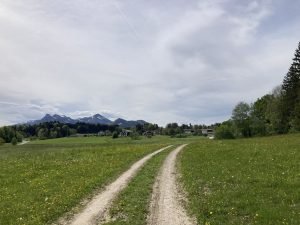 IMG_2375