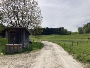 IMG_2376