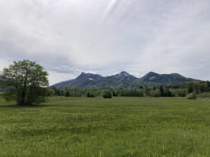 IMG_2379