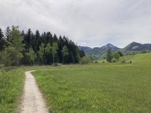 IMG_2380