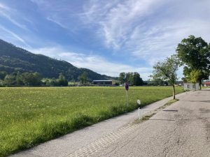 IMG_2453
