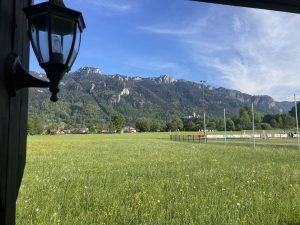 IMG_2455