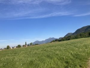 IMG_2466