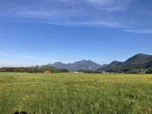 IMG_2467