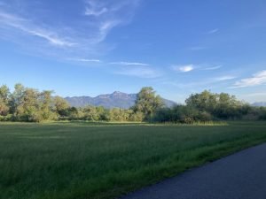 IMG_2479