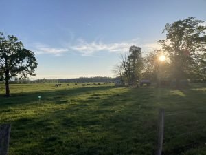 IMG_2481