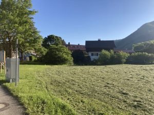 IMG_2577