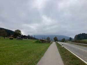 6D1287ED-0FB2-4BCA-AADF-8ABD88923858_1_105_c