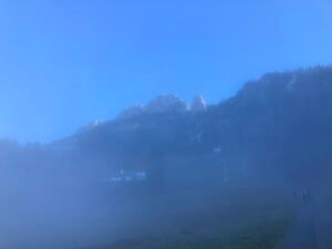 7E870518-8758-4D48-94CA-9F87C6DC05A9_1_105_c