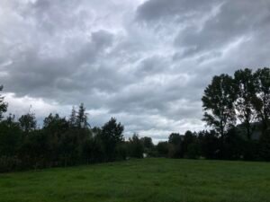 9DBDD06F-7475-43A6-8F89-EF37E621C756_1_102_o