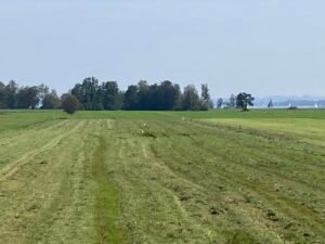 IMG_6322