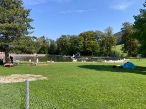 IMG_6588