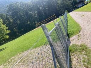 IMG_6592
