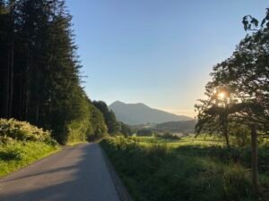 IMG_6684
