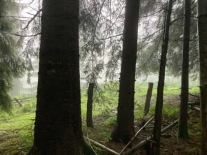 IMG_6967