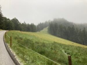 IMG_6974