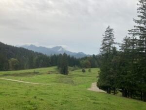 IMG_7492