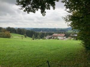 IMG_7513