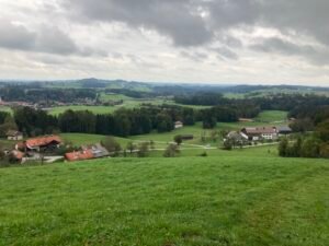 IMG_7517