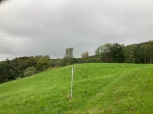 IMG_7518
