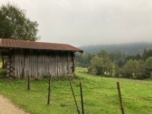 IMG_7527
