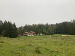 IMG_7536