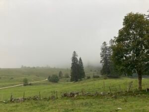 IMG_7537