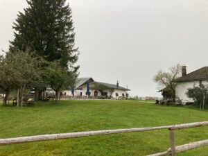 IMG_7552
