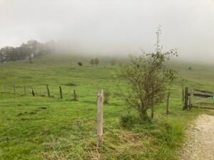 IMG_7553