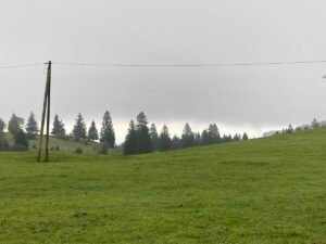 IMG_7556