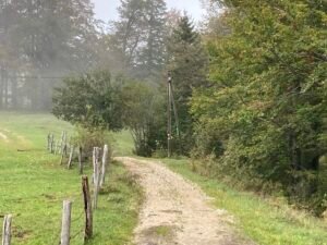 IMG_7557