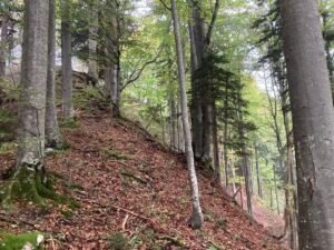 IMG_7559
