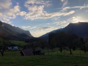 IMG_7878