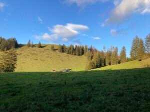 IMG_7881
