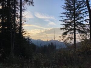 IMG_7894