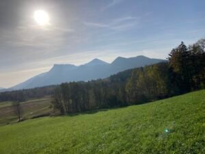 IMG_7995